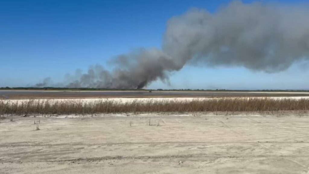 Bregdeti i Semanit në flakë, era favorizon përhapjen e zjarrit, rrezikohet habitati i specieve të egra 2 bregdeti i semanit ne flake era favorizon perhapjen e zjarrit rrezikohet habitati i specieve te egra 68d16e4474781