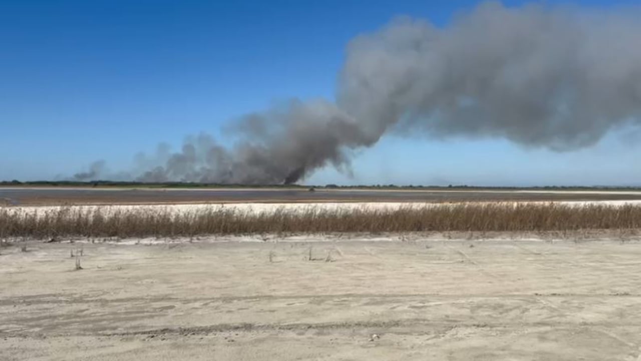 bregdeti i semanit ne flake era favorizon perhapjen e zjarrit rrezikohet habitati i specieve te egra 68d16e4474781