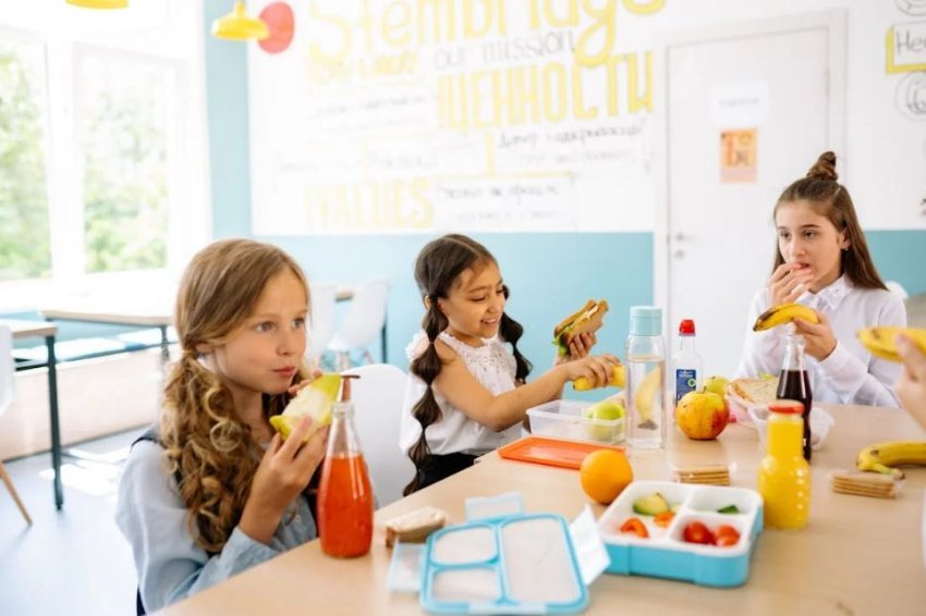 buke me vete ne shkolle nje zakon i thjeshte me nje ndikim te madh ne zhvillimin e femijes 68c8201295911