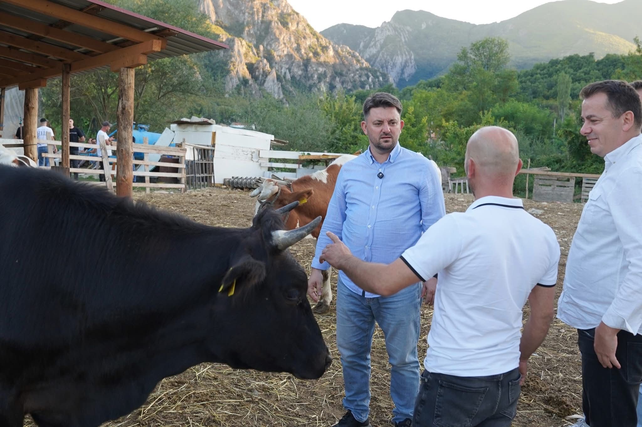 Muhamet Elmazi premton mbështetje konkrete për fermerët e Sarajit 1 c4699c2a 6c78 4d71 8bf3 55fbdcf3b338