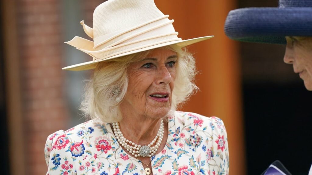 dikush tentoi te me perdhunonte rrefimi trondites i mbretereshe camilles e godita me taken e kepuces ne testikuj 68b550664b456