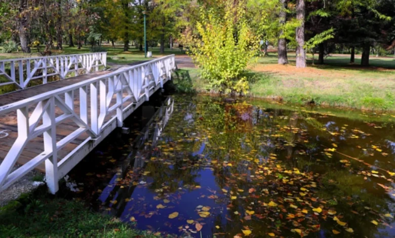 DPHM: Vijon periudhë e motit kryesisht me diell 3 dphm vijon periudhe e motit kryesisht me diell 68c82439b62a1