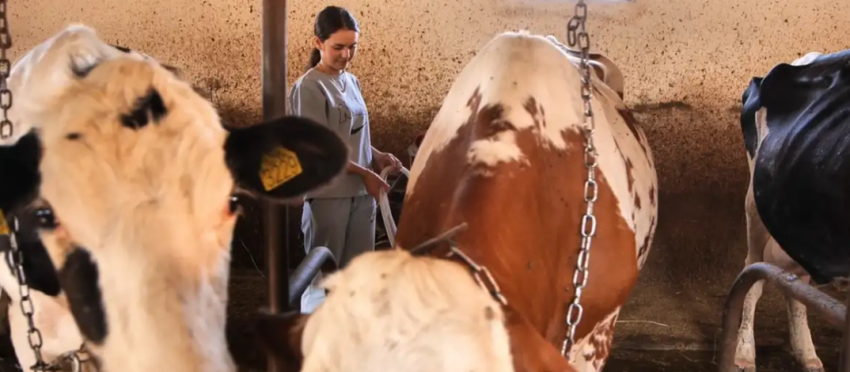 Kosovë: Gratë sipërmarrëse të agrobiznesit 2 kosove grate sipermarrese te agrobiznesit 68b94a10407c2