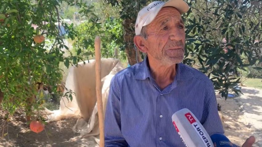 Masakër në Lushnje, ujqërit shkatërrojnë kopenë e blegtorit 2 masaker ne lushnje ujqerit shkaterrojne kopene e blegtorit 68cfff973d6d5