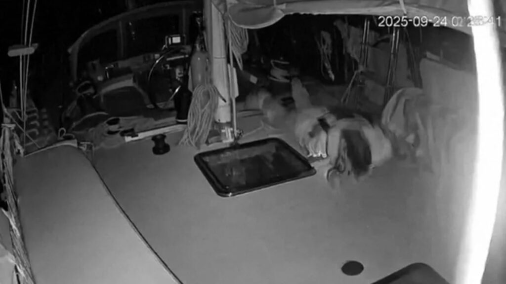 ministri i mbrojtjes i italise denon sulmin me dron ndaj anijeve humanitare ne gaza 68d42f856fa48