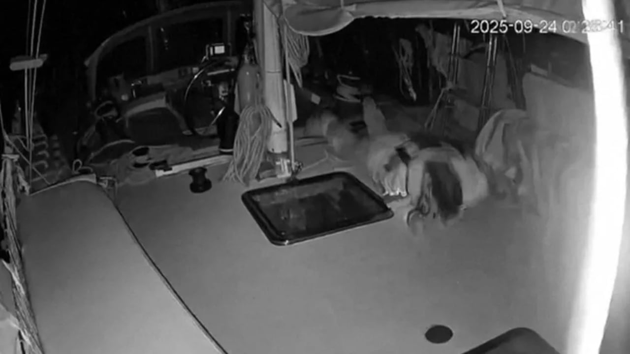 ministri i mbrojtjes i italise denon sulmin me dron ndaj anijeve humanitare ne gaza 68d42f856fa48