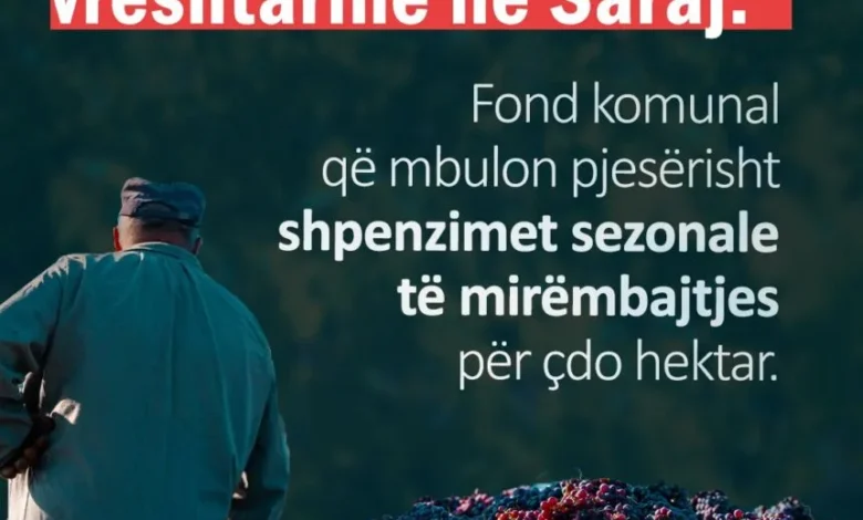 muhamed elmazi fond komunal per te mbuluar shpenzimet e vreshtareve ne saraj 68d51afaa6d1b