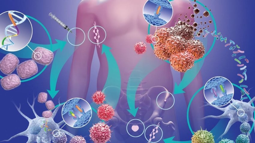 Nanoteknologjia dhe AI zbulojnë kancerin e prostatës në fazë të hershme? 2 nanoteknologjia dhe ai zbulojne kancerin e prostates ne faze te hershme 68bda7ef29f80