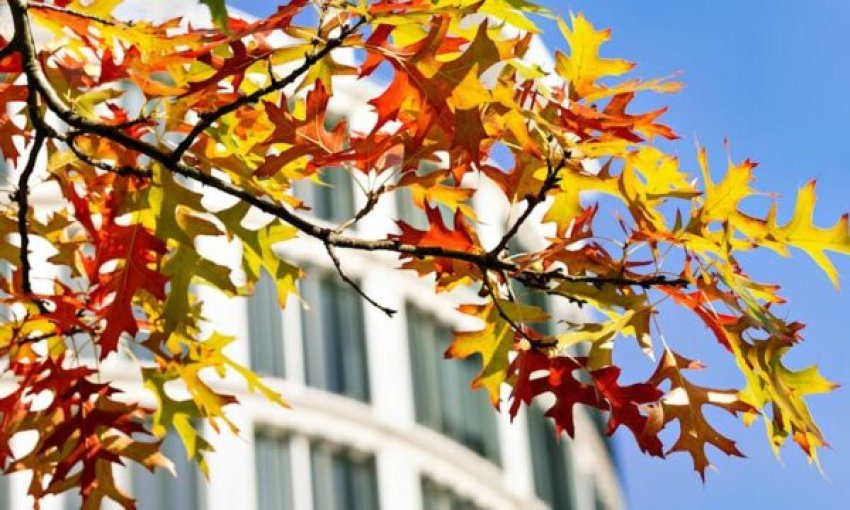 ne cfare ore fillon saktesisht stina e vjeshtes 68d0ea121668e