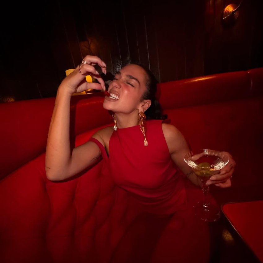 nje dite e paharrueshme per dua lipen 68c463d24e4bc