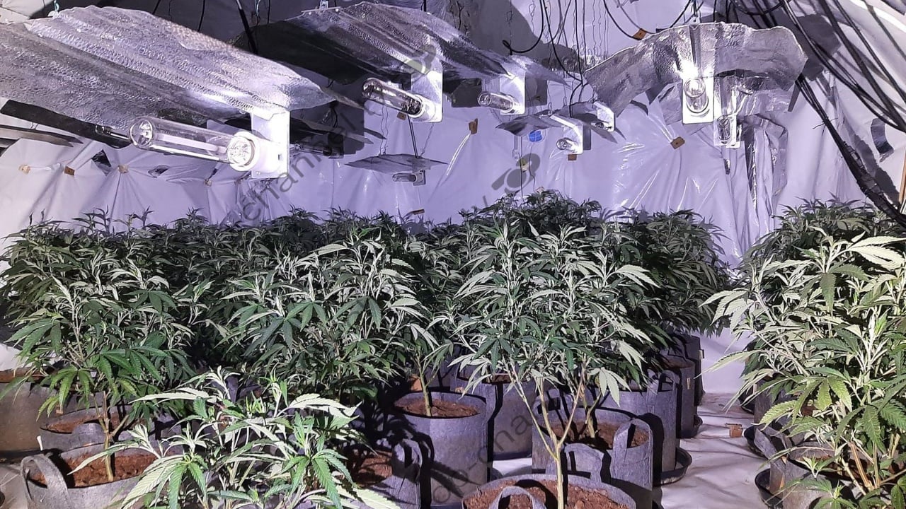 operacion i agjencise britanike te krimeve i ul qepenin shtepive te barit cunave te birmingamit gjenden para dhe dy kile kokaine 68b9cf636ee86