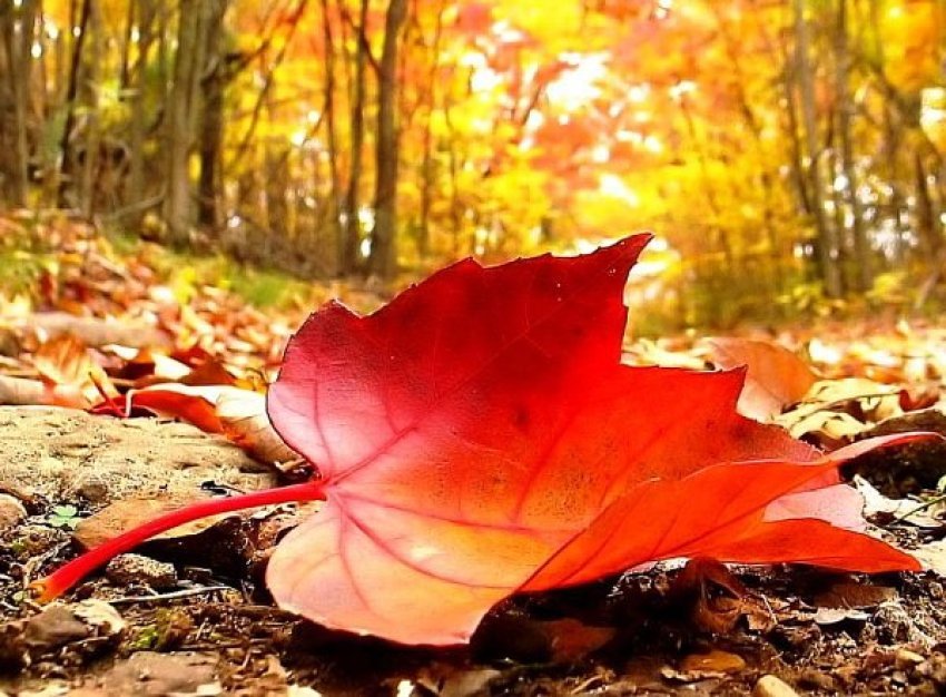 parashikimi i motit per sot 29 shtator 2025 68da1b173e596