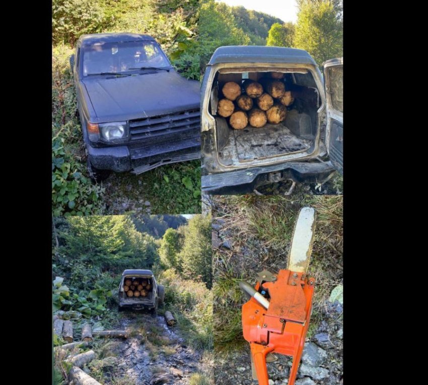 Policia me aksion në Kaçanik e Ferizaj, sekuestron automjete dhe drunj të prerë ilegalisht 3 policia me aksion ne kacanik e ferizaj sekuestron automjete dhe drunj te prere ilegalisht 68cd2cb0bc1f7