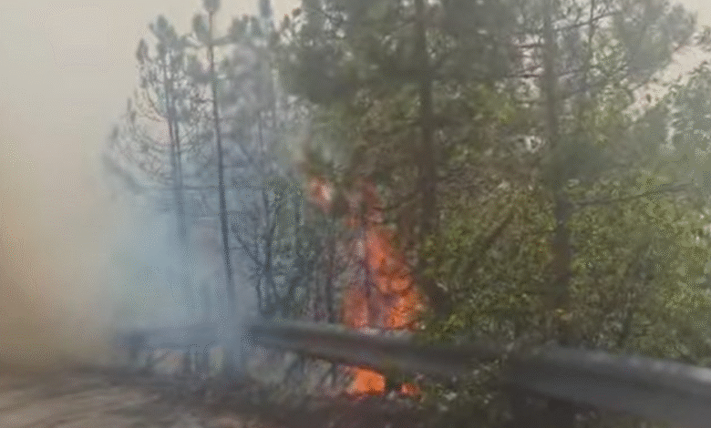 QMK: Zjarre aktive në Gjevgjeli, Tetovë dhe Krushevë, zjarri në fshatin Trubarevë nën kontroll 3 qmk zjarre aktive ne gjevgjeli tetove dhe krusheve zjarri ne fshatin trubareve nen kontroll 68d00d3ab070f