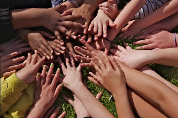 racizmi arrin nivel rekord ne zvicer por fondet zvogelohen 68cc1291b3e7c