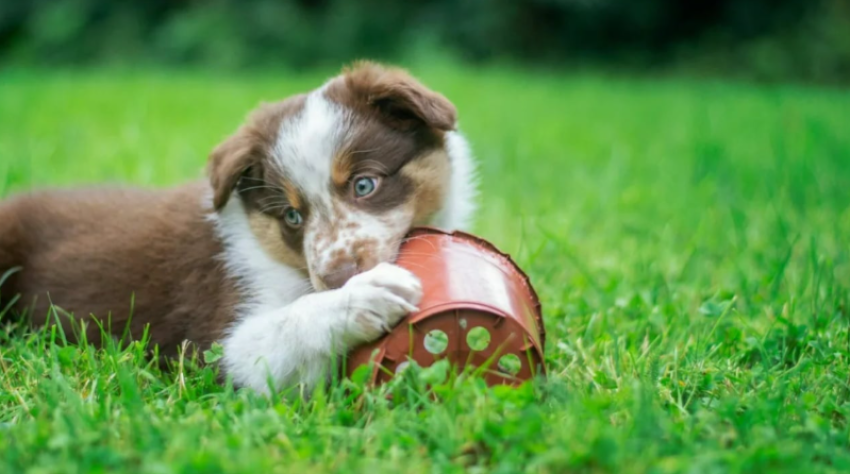 vrau 8 kelyshe qensh gjykata e larte ne greqi denon ashper pensionistin burg dhe gjobe 68cfc8d49554f