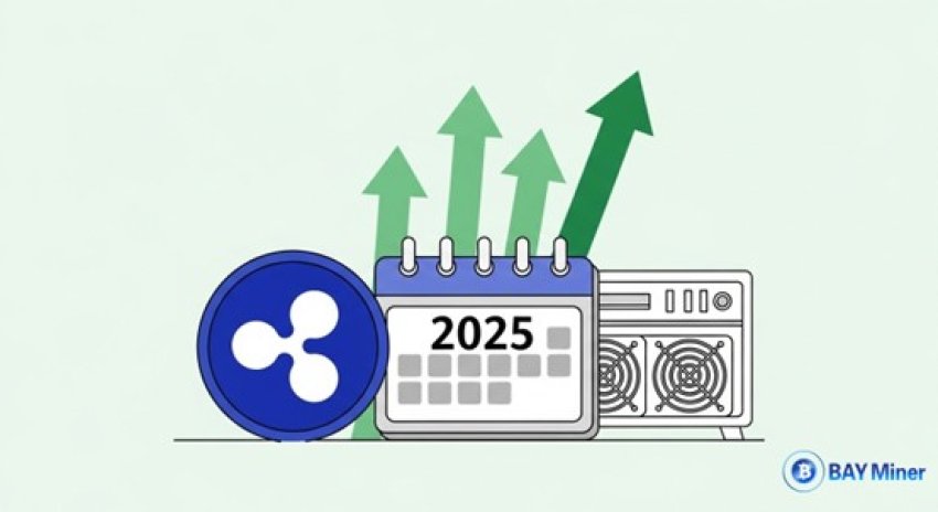 XRP Wallets No Longer Idle—BAY Miner 2025 Cloud Mining Lets You HODL and Earn $6,777 Daily 1 xrp wallets no longer idle bay miner 2025 cloud mining lets you hodl and earn 6777 daily 68c68e0f8b485