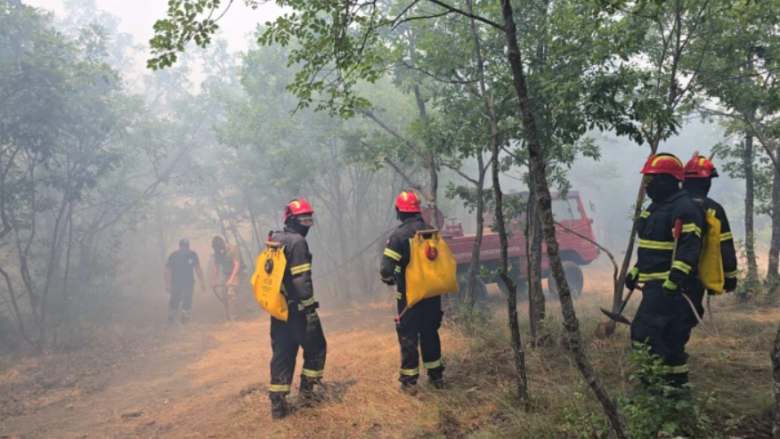 Zjarrvëniet e qëllimshme do të ndiqen penalisht si vepra terroriste 2 zjarrveniet e qellimshme do te ndiqen penalisht si vepra terroriste 68c9599b91786