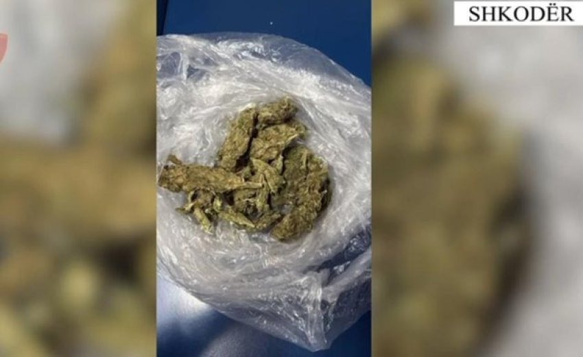 arrestohen shitesit e kanabisit ne shkoder 68eb92f45998a