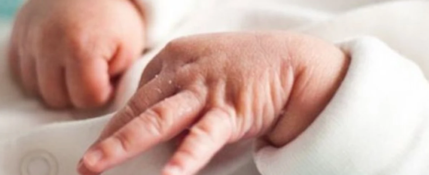 bie numri i lindjeve ne gusht 2025 krahasuar me muajin korrik 68ef73afca6ef