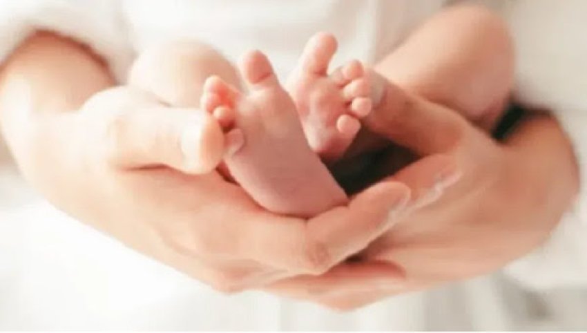 bie numri i lindjeve ne kosove 68f1198fa36ab