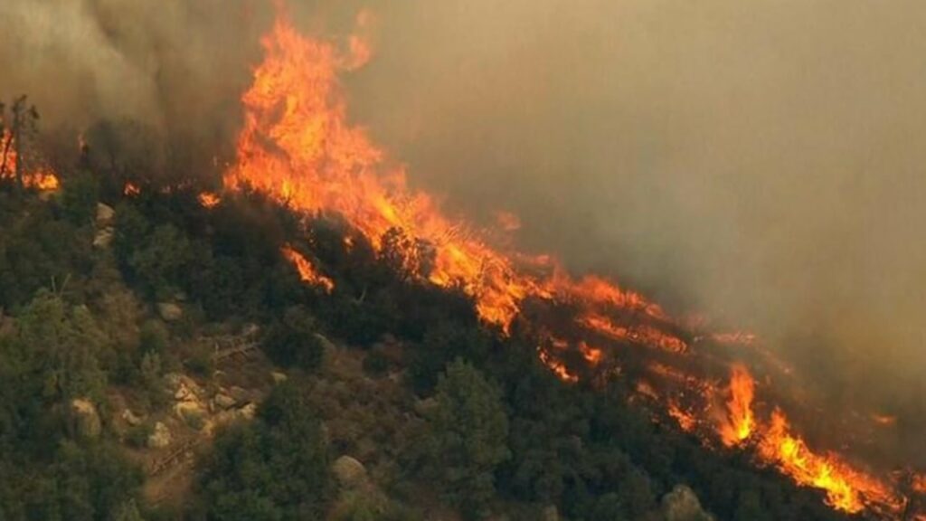 Bilanci tragjik i zjarrit në Gramsh/ Përfundon vlerësimi i dëmeve, fatura shkon në 31 mln lekë 3 bilanci tragjik i zjarrit ne gramsh perfundon vleresimi i demeve fatura shkon ne 31 mln leke 68f8c306cccd2