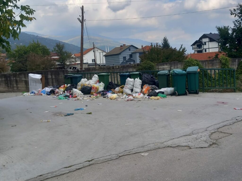 Bogovina në Bërllok – Kryetari që nuk sheh as plehrat e veta 2 bogovina ne berllok kryetari qe nuk sheh as plehrat e veta 68ef9aed88cb9