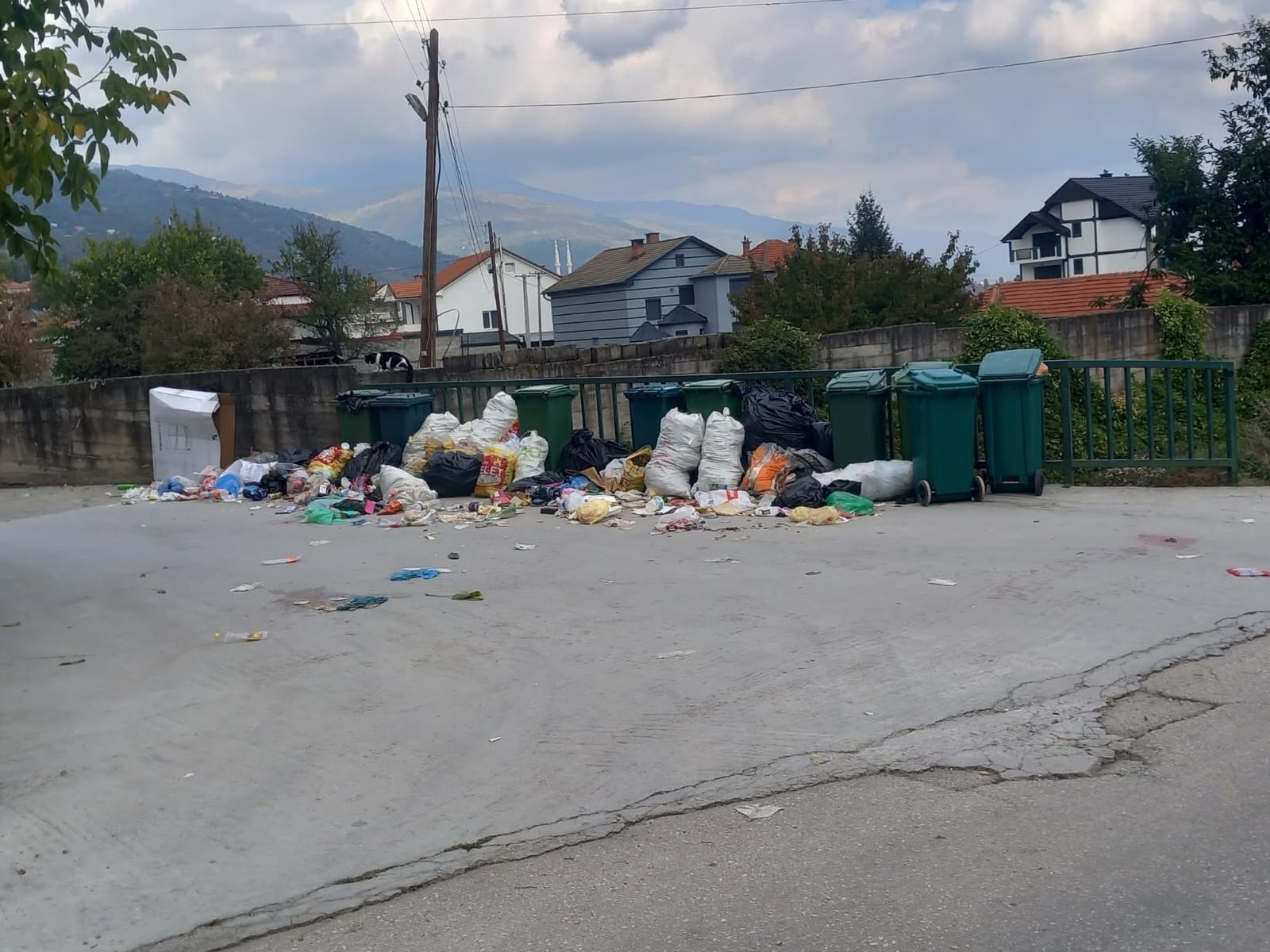 bogovina ne berllok kryetari qe nuk sheh as plehrat e veta 68ef9aed88cb9