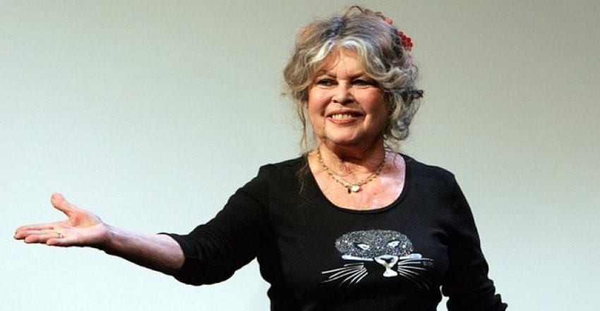 brigitte bardot e terbuar per raportimet se ka vdekur nuk e di se cili idiot e filloi kete lajm te rreme 68fa8d7144d1d