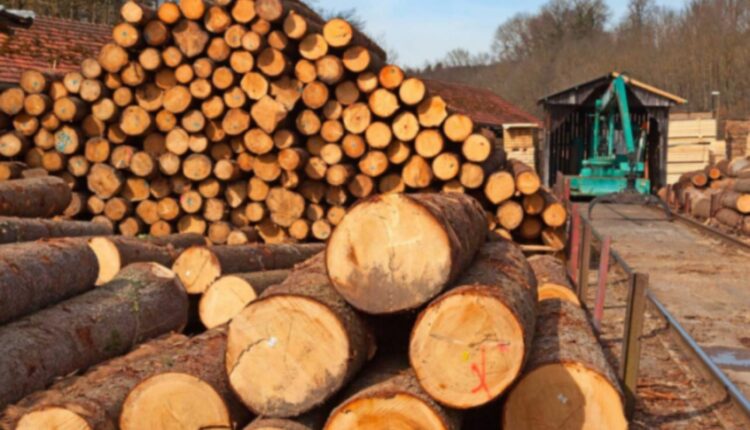 Çmimi i drurit për ngrohje çdo vit shënon rritje 3 cmimi i drurit per ngrohje cdo vit shenon rritje 68e2733508126