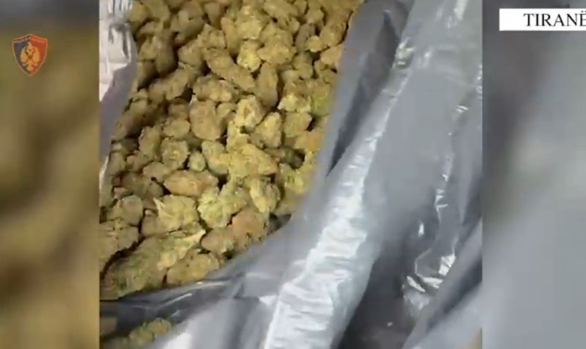 Drogë dhe armë gjahu pa leje, policia operacion në Nikël, arrestohen dy persona 2 droge dhe arme gjahu pa leje policia operacion ne nikel arrestohen dy persona 68f4b1564d808