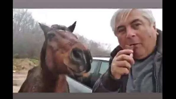 El Cheka: Ky është vëllai i Ali Ahmetit që merr rrogë në Komunë të Kërçovës (Dokument) 3 el cheka ky eshte vellai i ali ahmetit qe merr rroge ne komune te kercoves dokument 68f9f5f176d0b