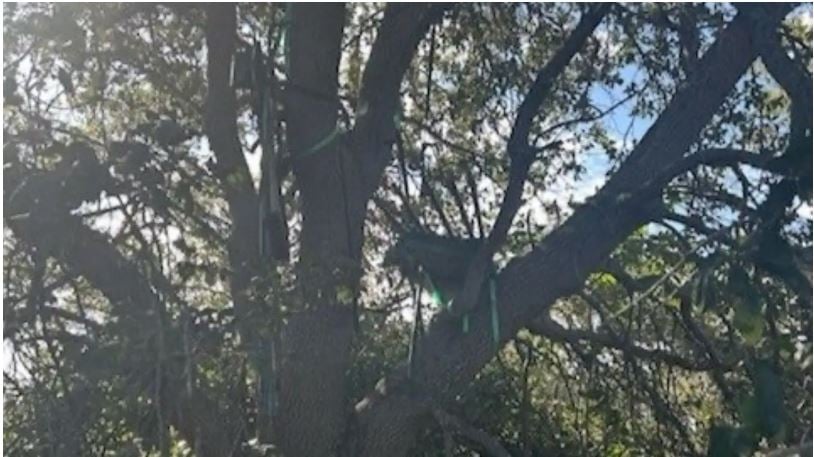 FBI zbulon një strukturë të dyshimtë pranë aeroportit ku ulet avioni i Trump, heton mundësinë e rrezikut ndaj Presidentit 2 fbi zbulon nje strukture te dyshimte prane aeroportit ku ulet avioni i trump heton mundesine e rrezikut ndaj presidentit 68f55d4806112