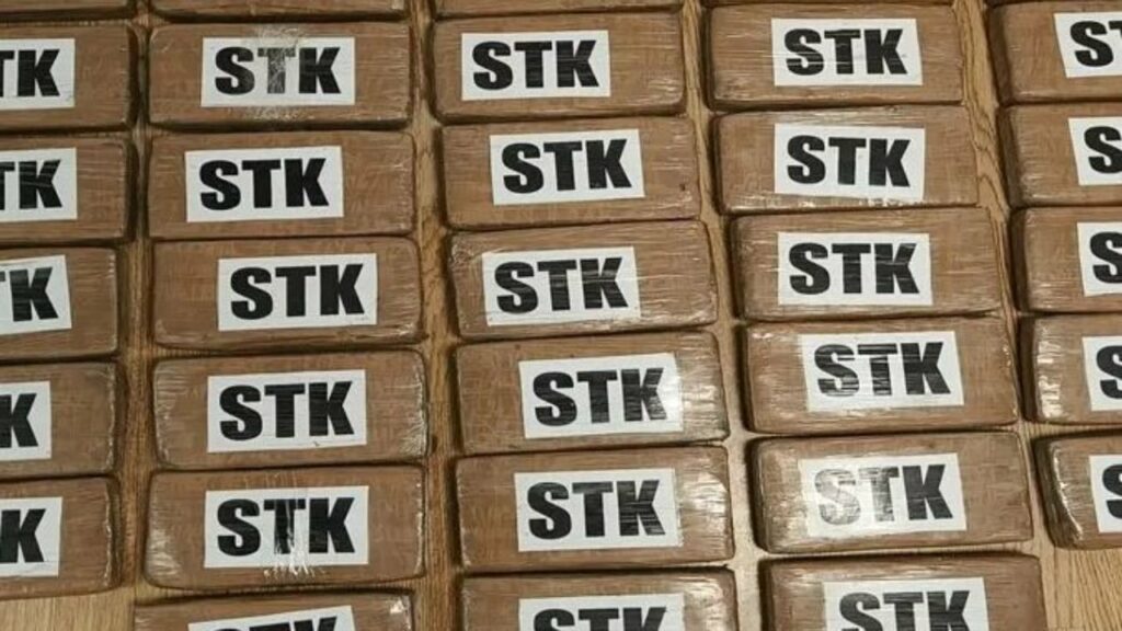 Goditet rrjeti i trafikut të drogës në Greqi, kapen mbi 38 kg kokainë të fshehura në kontejner bananesh në portin e Pireut 3 goditet rrjeti i trafikut te droges ne greqi kapen mbi 38 kg kokaine te fshehura ne kontejner bananesh ne portin e pireut 68f2ba45f2e8c