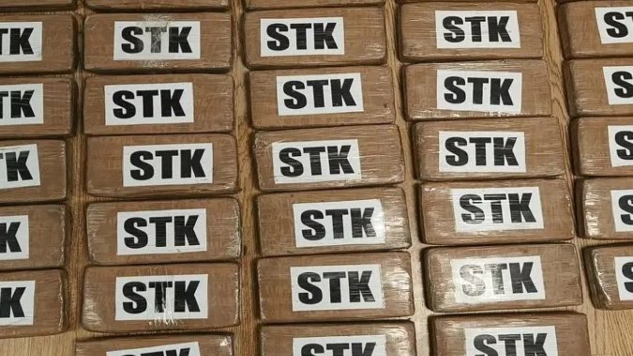 Goditet rrjeti i trafikut të drogës në Greqi, kapen mbi 38 kg kokainë të fshehura në kontejner bananesh në portin e Pireut 1 goditet rrjeti i trafikut te droges ne greqi kapen mbi 38 kg kokaine te fshehura ne kontejner bananesh ne portin e pireut 68f2ba45f2e8c