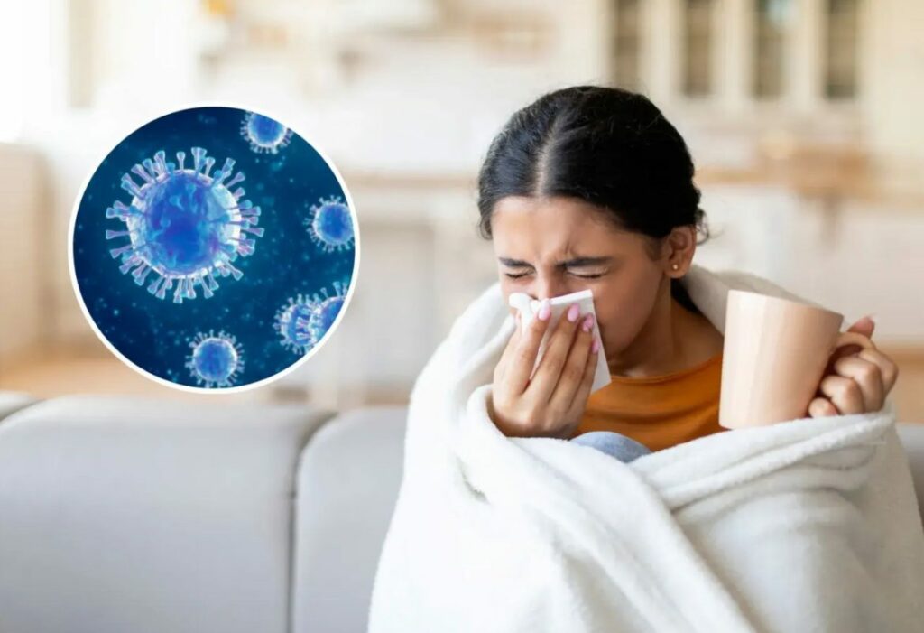 gripi ne qarkullim 188 raste dhe dy viktima 68fde9d08c283