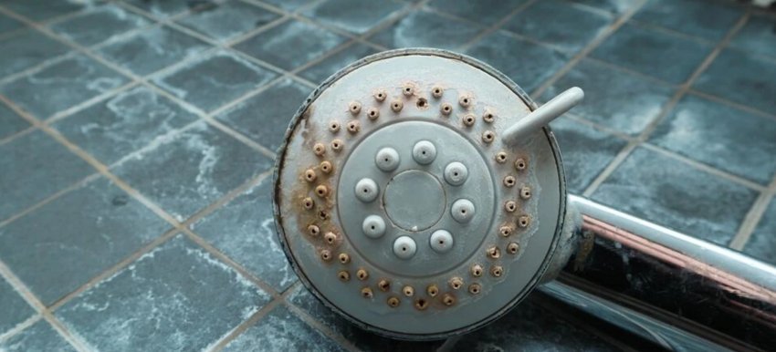 Hiqni gëlqeren nga koka e dushit me një përbërës natyral që vepron më shpejt se uthulla 2 hiqni gelqeren nga koka e dushit me nje perberes natyral qe vepron me shpejt se uthulla 68f0aa3131a52