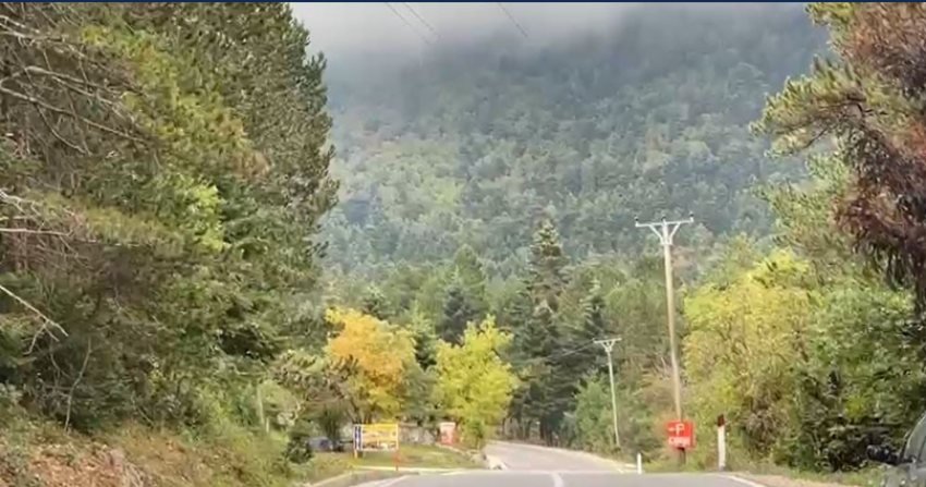 humben ne llogara pasi po eksploronin zonen gjenden pas disa oresh kerkim nene e bir nga suedia 68ff051b1a364