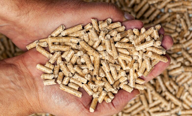 krize per pelet ne maqedoni ky eshte cmimi 6900c50fa3c61