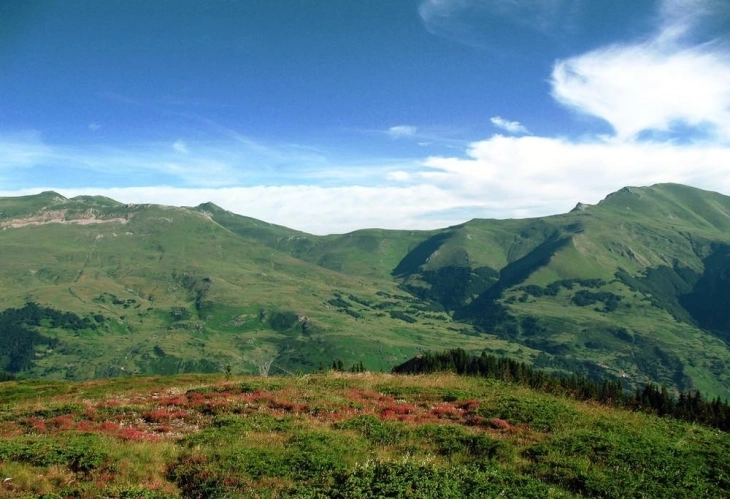 Ministria e Mjedisit ndan mjete financiare për parqet nacionale “Mali Sharr” dhe “Pelister” 2 ministria e mjedisit ndan mjete financiare per parqet nacionale mali sharr dhe pelister 68e586b21209d