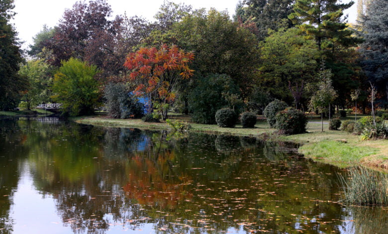 moti me vranesira te ndryshueshme temperatura deri ne 19 grade 68f8885518ff4