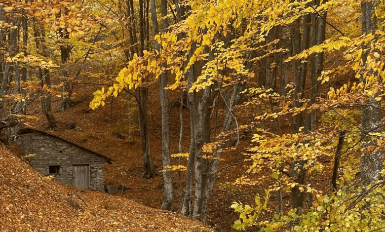 moti ne mengjes i ftohte gjate dites deri ne 20 grade 6901c2d543a0c