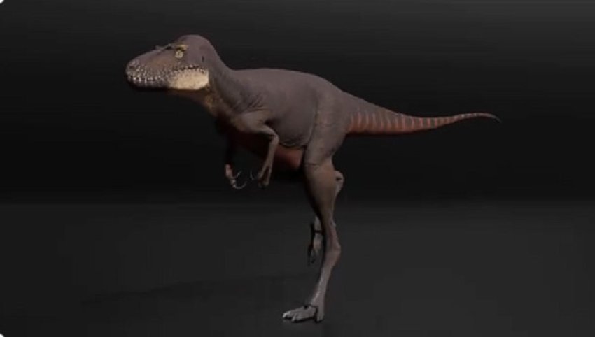 nanotyrannus eshte specie e vecante jo nje trex i ri thone shkencetaret 6904f50eb8cb7