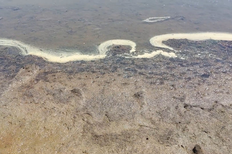 ndotja ne liqenin e prespes eshte alarmante 6903d8904160d