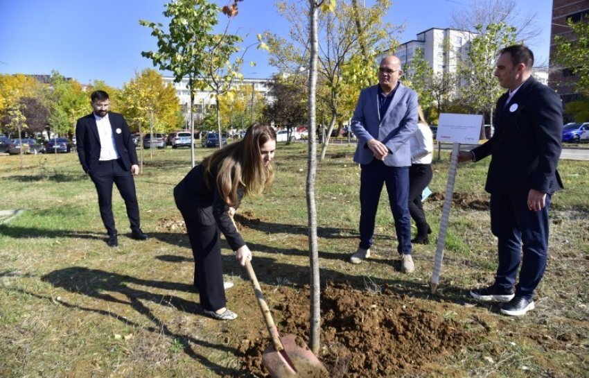 Në hapësirat e QKUK-së mbillen fidane për një ambient më të shëndetshëm 2 ne hapesirat e qkuk se mbillen fidane per nje ambient me te shendetshem 68f643718b74e