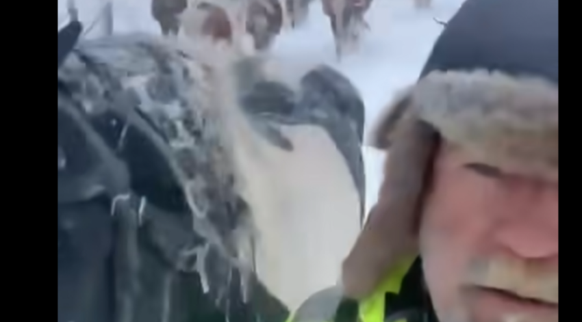 Pasi mbeti i bllokuar në bjeshkët e Istogut, blegtori arrin të kthehet bashkë me bagëtitë e tij 3 pasi mbeti i bllokuar ne bjeshket e istogut blegtori arrin te kthehet bashke me bagetite e tij 68e163b02ed56