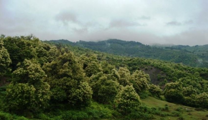 Po mblidhte gështenja me nënën, zhduket në mënyrë misterioze 26-vjeçari në Tropojë 3 po mblidhte geshtenja me nenen zhduket ne menyre misterioze 26 vjecari ne tropoje 68f78c9accf0c