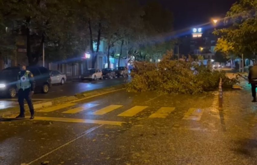 reshjet e shiut dhe era e forte rrezojne pemen bllokohet rruga ne shkoder 68fb2cbedd655