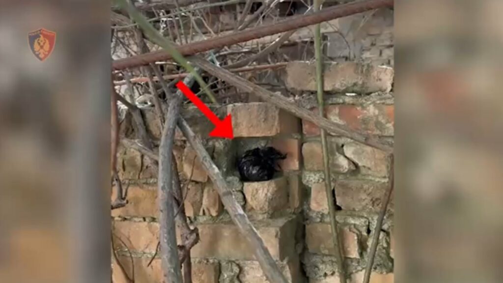 shisnin droge ne zona te ndryshme te kryeqytetit pranga dy te rinjve sekuestrohen lenda narkotike dhe arme te ftohta 68edfec4e8ef9