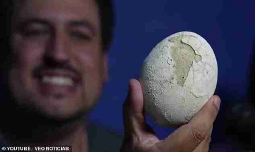 shkencetaret zbulojne veze dinozauri te ruajtur ne menyre perfekte 68fcefef90139